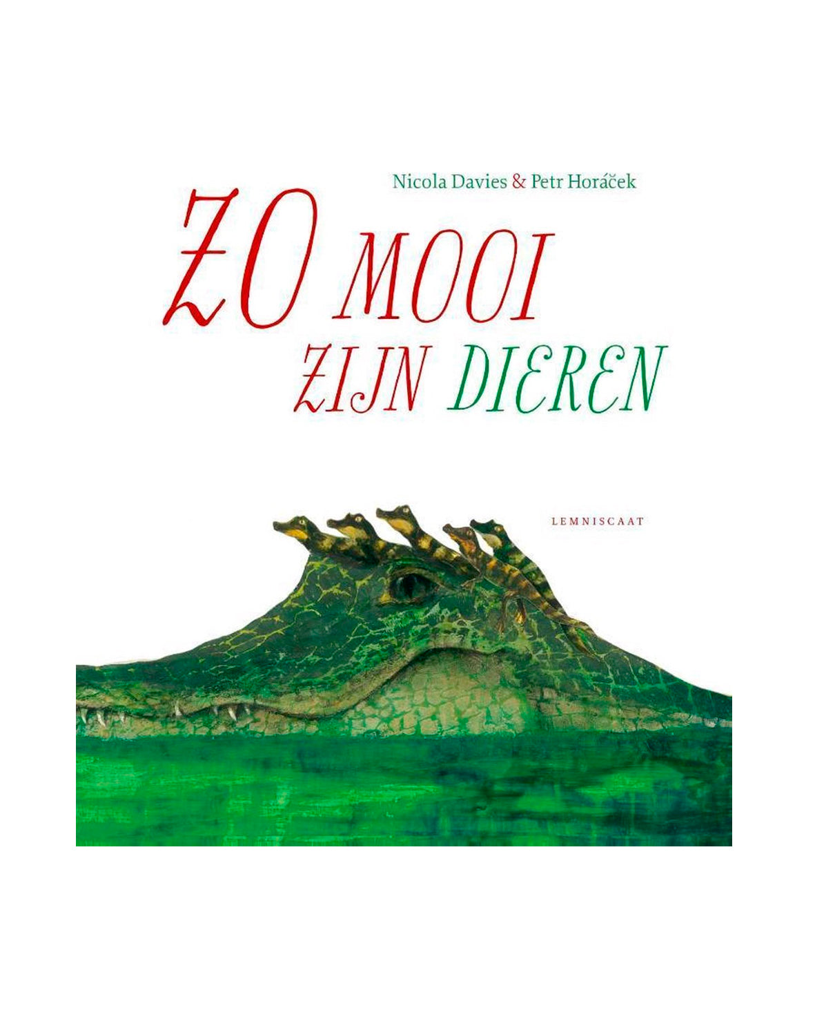 Boekenbundel 6 tm 8 jaar (6 boeken)