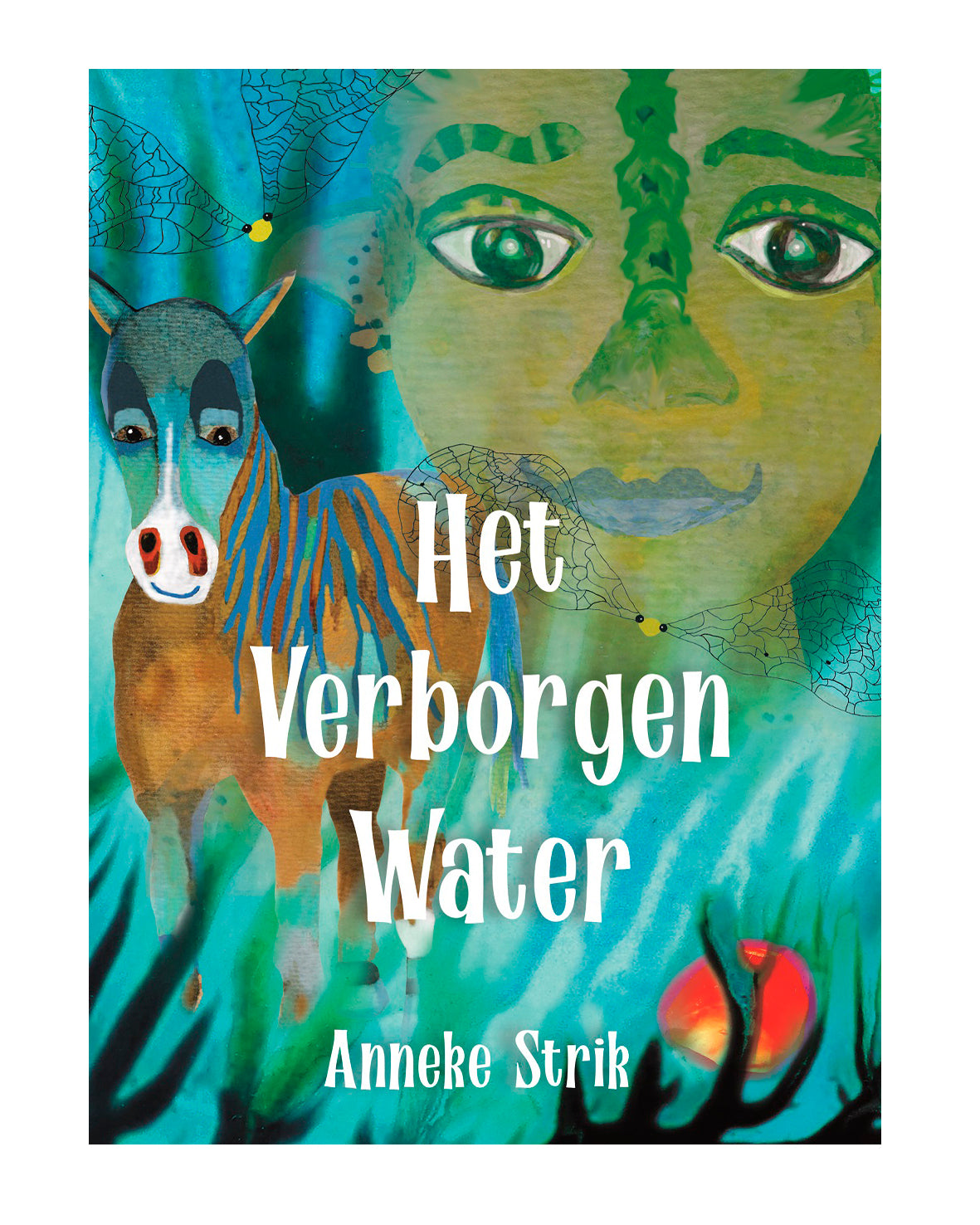 Het Verborgen Water, Auteur Anneke Strik